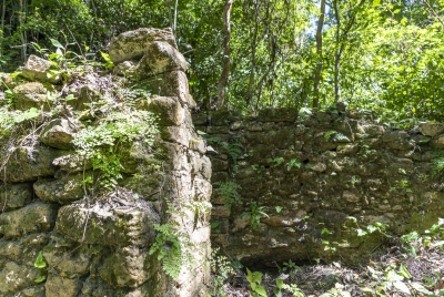 La Milpa Archaeological Site 2023